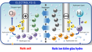 May-loc-nuoc-ion-kiem-trim- Ion- Ti5hx